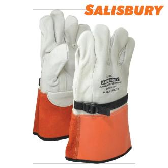 Salisbury Leather Protector 14